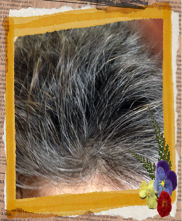 image-20140207214705.png