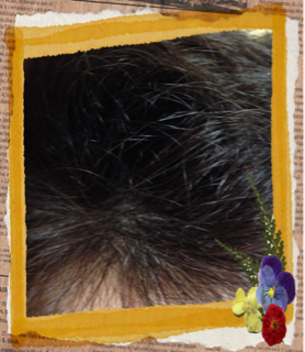 image-20140207214935.png